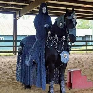 Meet your Posher, Pablo